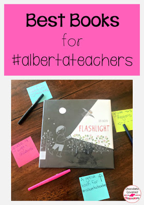 best books for alberta teachers - flashlight wordless picture book