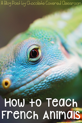 How do you teach French as a Second language students about animals and their physical traits? This blog post is full of great ideas that will help those tricky French vocabulary terms to stick. Students will play a variety of games, learn with songs, powerpoint presentations, and more!