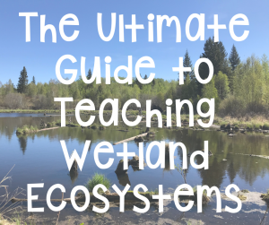 the ultimate guide to teaching wetland ecosystems