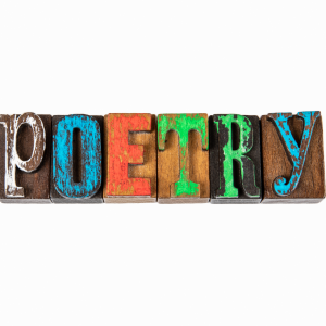 grade 5 poetry new alberta curriculum