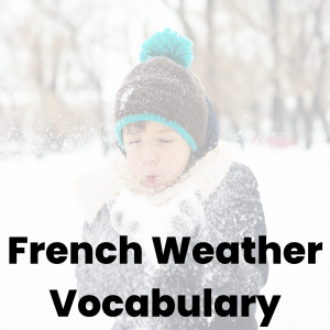 french weather vocabulary would you rather game