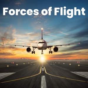 how to teach forces of flight